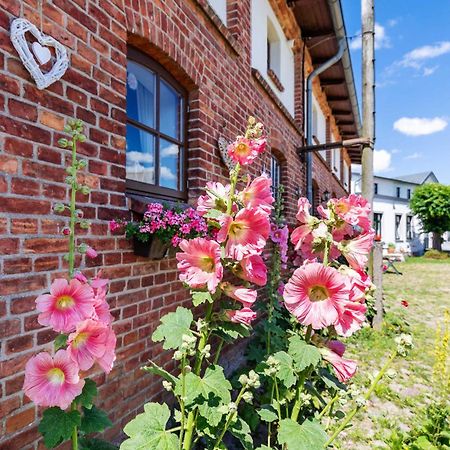 Ostsee Bauernhof Schwalbennest Ofc 15 Steffenshagen Exteriör bild